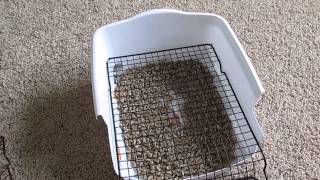 Rabbit litter boxCustommade DIY Scatterless with gridgrate under 5 [upl. by Margalit]