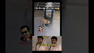 Kiye kiye enta kari cha sat kaha 😍🌿\ sambalpuri status video  sambalpuri song shortvideo dance [upl. by Annil176]