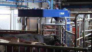 DeLaval Gjødselrobot Garberg Stasjon Selbu Norge [upl. by Maillil]