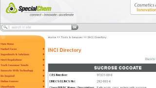 What Is Sucrose Cocoate [upl. by Gustafsson]