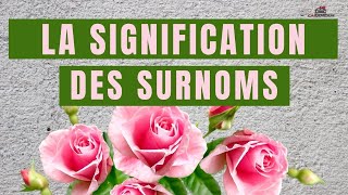 SURNOM DAMOUR MIGNON ET LEUR SIGNIFICATION [upl. by Annad790]