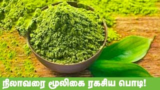 நிலாவரை சூரணம் பயன்கள்  NilavaraiSooranam nalam360 [upl. by Eislel]