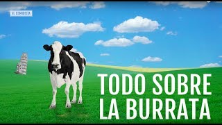 EL COMIDISTA  Todo sobre la BURRATA [upl. by Saree]