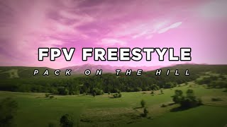 FPV Freestyle  PackOnTheHill [upl. by Paulita676]