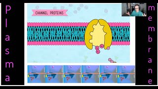 Plasma membrane [upl. by Maillliw]