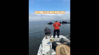 Catching a 22 inch Rock Fish on the Stoney Creek in Maryland [upl. by Ari]