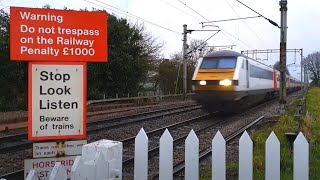 Class 66 and Class 90 at Hill House No2 Footpath Level Crossing Essex [upl. by Seditsira]