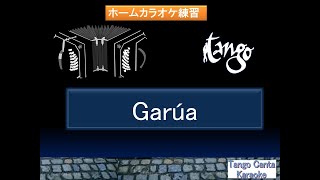 ホームカラオケ練習 Garúa karaoke [upl. by Armillda170]