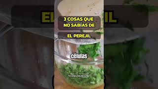 3 RAZONES PARA INCLUIR PEREJIL FRESCO EN TU DIETA alimentossaludables perejil alimentosaludable [upl. by Tally611]