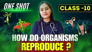 Reproduction Sexual Health  class 10 Anjali Birhman  part 2 [upl. by Anauqes]