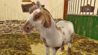 Horse World 🐴 Pferde Spiel deutsch Lets Play für Kinder Gratis [upl. by Nnaecarg]