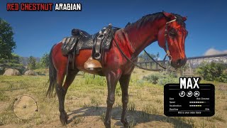 The Most Neglected Arabian in Red Dead Redemption 2  Red Chestnut Arabian  RDR2  PS4 Slim [upl. by Wake]