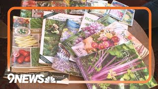 Why you should order seeds from catalogs [upl. by Lorelle]