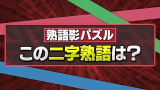 【熟語の影だけがごちゃ混ぜに！】スアールビジュアルカップ vol3 使用問題 08 【映像クイズ】 [upl. by Behn143]