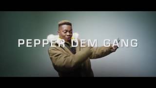 Olamide ft Davolee  Pepper Dem Gang  official video [upl. by Adler488]