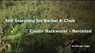 Still Searching for Barbel amp Chub  Castor Revisited [upl. by Ainahpets]