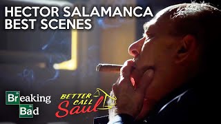 The Best Or Worst Of Hector Salamanca  Breaking Bad amp Better Call Saul [upl. by Yrtua]