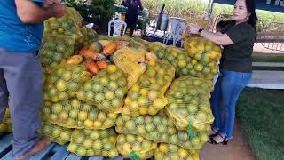 Cooperação Técnica CoopanaSeapa  Exposição e Comercialização de Produtos [upl. by Zerep]