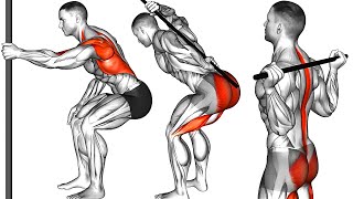 The Best Mobility Exercises to Improve Your Posture [upl. by Graaf668]