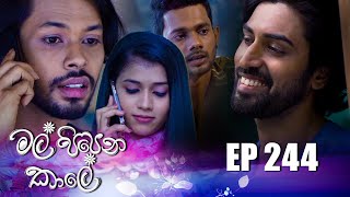 Mal Pipena Kale  Episode 244 09th September 2022 [upl. by Ydor]