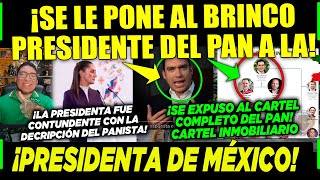 SAN LUNES PANISTA SE LE PONE AL BRINCO ¡A LA PRESIDENTA DE MÉXICO CLAUDIA ¡YA VALIÓ CHETOS [upl. by Tristis493]