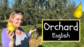 🍐 Pear Orchard Learn English in an Orchard Orchard English Vocabulary and Idioms 🌳 [upl. by Einahpit]