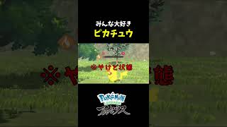 『Pokémon LEGENDS アルセウス』みんな大好きピカチュウ！！ shorts [upl. by Olivie]