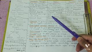 Heme Degradation amp Jaundice  1st year MBBS [upl. by Mulry608]