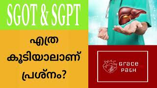 Are all SGOT  SGPT levels above normal range dangerous Malayalam [upl. by Ataner]