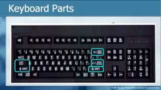 Learn THE KEYBOARD Techniques  Basic Personal Computer Tutorials How to [upl. by Rramal688]