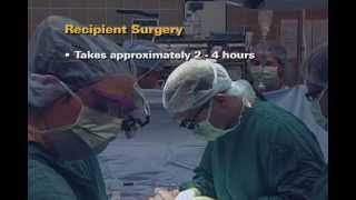 UM Kidney Transplant Recipient  Surgery 5 of 7 [upl. by Eadnus]