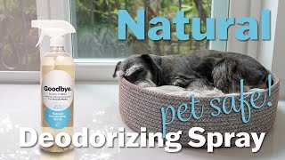 Deodorizer Spray thats 100 Natural Pet Friendly Solution shorts [upl. by Berkley]