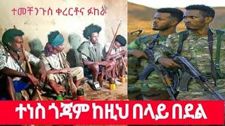 ተመቸ ንጉስ ቀረርቶና ፉከራ quotጎጃም ከዚህ በላይ በደልquot temeche nigus kererto amp fukera gojjam 2022 [upl. by Little]