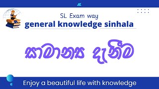 General knowledge Questions and Answers  Sinhala 2023  general knowledge 2023 sri lanka [upl. by Paterson]