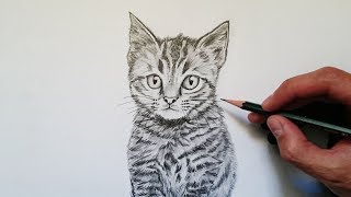 APRENDE cómo DIBUJAR un GATO realista PASO a PASO 🐱😀✅ [upl. by Niraj]