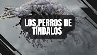 14 Los Perros de Tíndalos Mitología HP LovecraftMitos de Cthulhu [upl. by Otnas819]