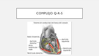 Electrocardiografía básica Lectura ONDAS y Fundamentos PARTE 1 [upl. by Aihsrop]