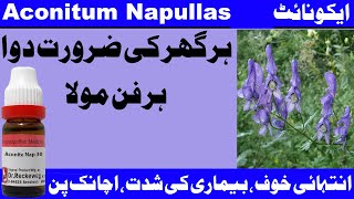 Aconite Napellus  Aconite Nap 30 Aconite Nap 200 uses dosages in Urdu Hindi [upl. by Amsed]