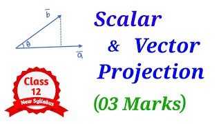 Scalar and Vector Projection  03 Marks  12th Maths  HSC  Vectors  Science [upl. by Ruella39]