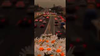 Tera Chehra Aik Taraf🤭🤍 Love❤ Shayeri Urdu Poetry  WhatsApp Status [upl. by Ainafets901]