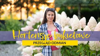 Hortensje bukietowe Przegląd odmian [upl. by Nojid]