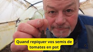 Quand repiquer vos semis de tomates [upl. by Charmine]