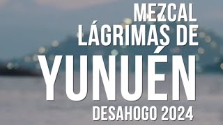 Lágrimas de Yunuén 2024 [upl. by Haywood571]