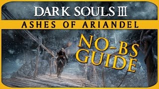 Dark Souls III Ashes of Ariandel All Items and Bonfires NoBS Guide [upl. by Eimerej480]