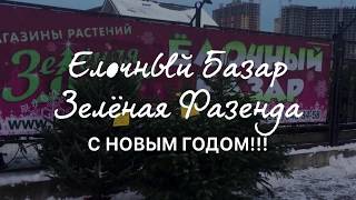 Елочный базар 2018 Зелёная Фазенда на Парнасе [upl. by Eiramanel]