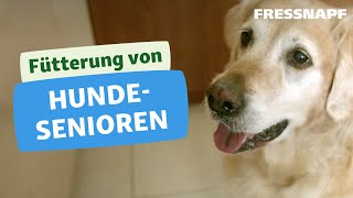 Fütterung Hundesenioren  Die richtige Ernährung [upl. by Netsoj]