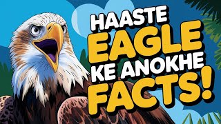 Mostdangerouseagle😱 HaastEagle haasteagle facts [upl. by Rikki514]