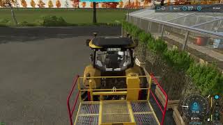 FS22 Plantando Arvores no Mapa NF Marsh [upl. by Ennairb116]