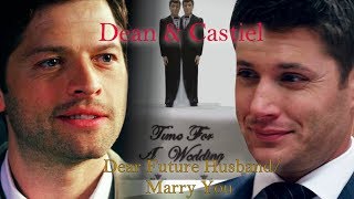 Dean and Castiel  Dear future HusbandMarry you Mashup AngelDove [upl. by Garnett185]