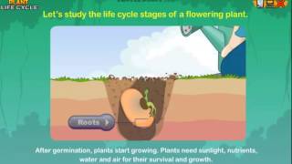 Plant Life Cycle amp What Plants Need To Grow Earth Science for Kids [upl. by Riane328]